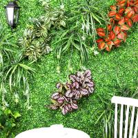 uploads/erp/collection/images/Home Garden/CongDing/XU0611851/img_b/XU0611851_img_b_2